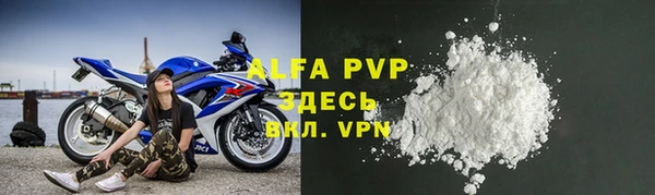СК Алексин
