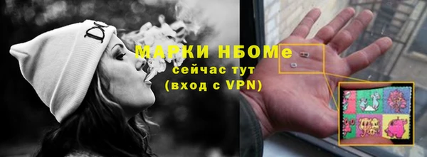 PSILOCYBIN Алзамай