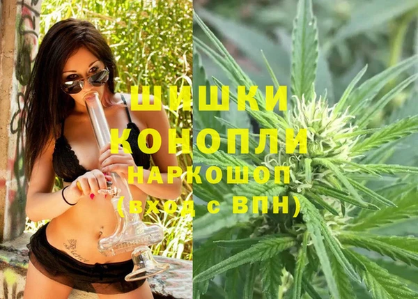 PSILOCYBIN Алзамай