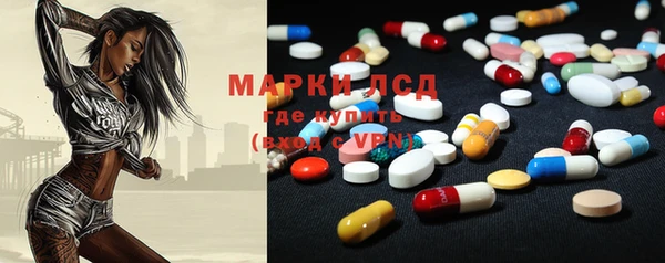 PSILOCYBIN Алзамай