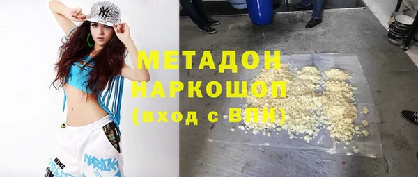 PSILOCYBIN Алзамай