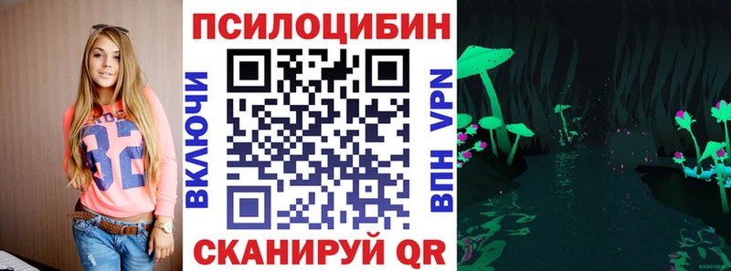 Галлюциногенные грибы Psilocybe  нарко площадка официальный сайт  Щигры 